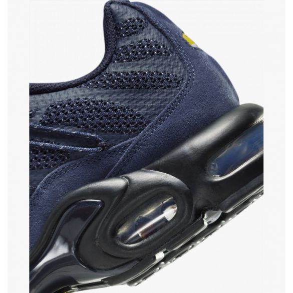 Чоловічі кросівки Nike Air Max Plus Utility FD0670-400_image_5