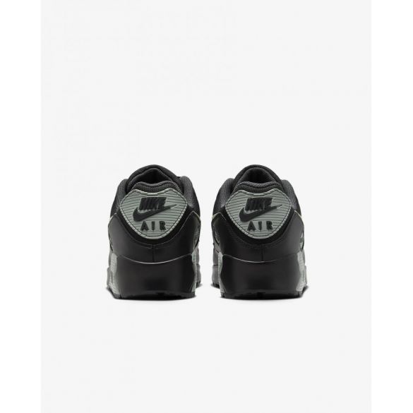 Кросівки Nike Air Max 90 Gore-Tex FD5810-001_image_3