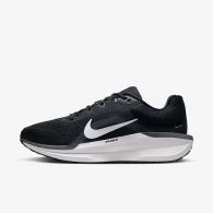Кроссовки Nike Air Winflo 11  FJ9510-001