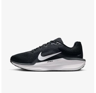 Кросівки Nike Air Winflo 11  FJ9510-001