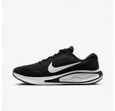 Кросівки Nike Journey Run FN0228-001
