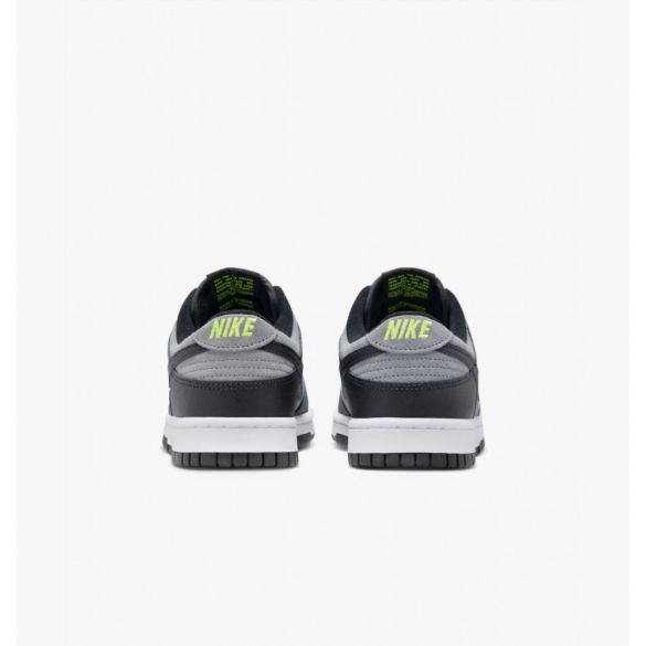 Кроссовки Nike Dunk Low Black/Grey FQ2205-001_image_6