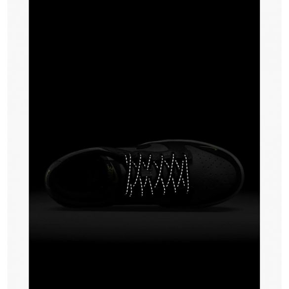 Кроссовки Nike Dunk Low Black/Grey FQ2205-001_image_9