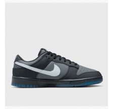 Кросівки Nike Dunk Low Retro  FV0384-001