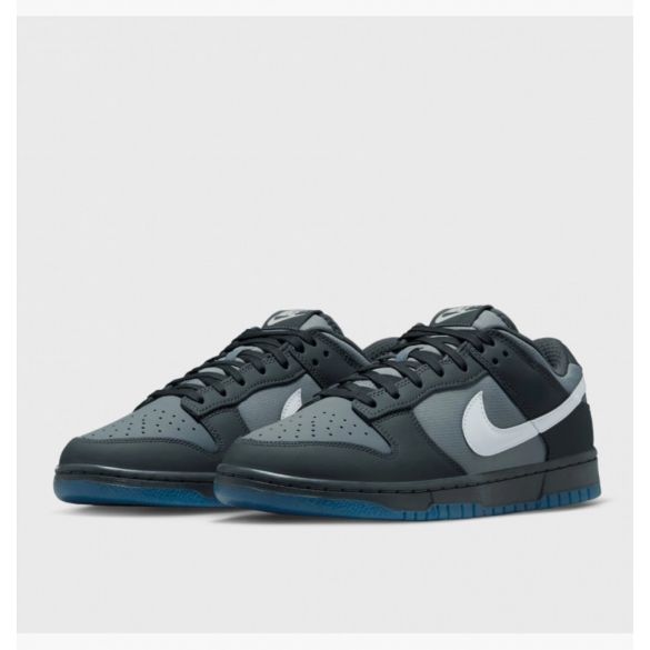 Кросівки Nike Dunk Low Retro  FV0384-001_image_8
