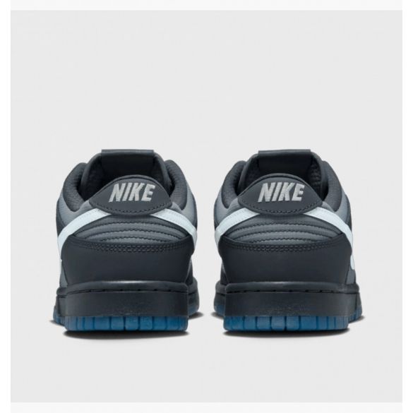 Кросівки Nike Dunk Low Retro  FV0384-001_image_4