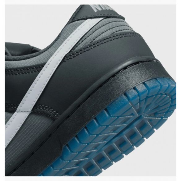 Кросівки Nike Dunk Low Retro  FV0384-001_image_3