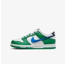 Кросівки Nike Dunk Low FZ4357-300