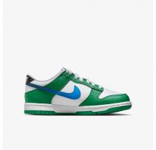 Кросівки Nike Dunk Low FZ4357-300