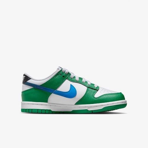 Кроссовки Nike Dunk Low FZ4357-300_image_1