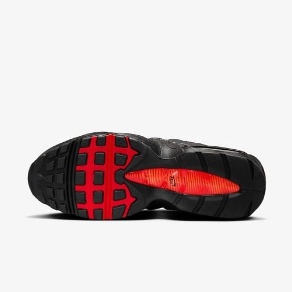 Чоловічі кросівки Nike Air Max 95 FZ4626-002_image_5