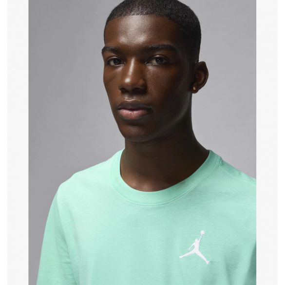 Футболка Nike Jordan Jumpman Embroidered Crew DC7485-349_image_4