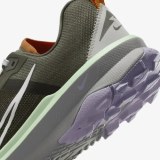 Кросівки Nike Terra Kiger 9 DR2693-001_image_6