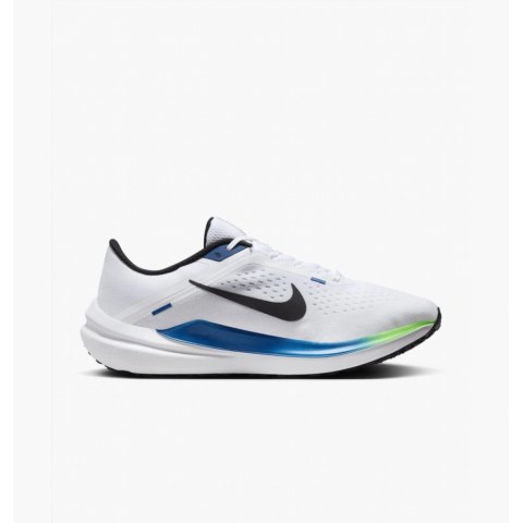 Чоловічі кросівки Nike Air Winflo 10 DV4022-103_image_1