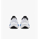 Чоловічі кросівки Nike Air Winflo 10 DV4022-103_image_4