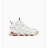 Кросівки Nike Air More Uptempo 96 DX8965-100_image_1