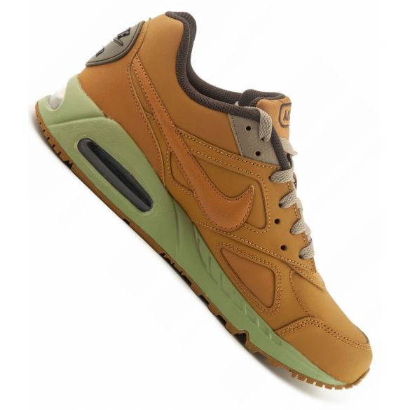 Кросівки Nike Air Max Ivo CD1534-700_image_4