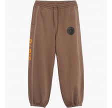 Штани Air Jordan X Psg Fleece Pants Brown DZ2949-274