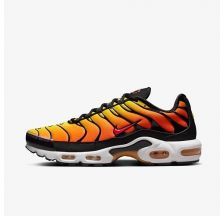 Кросівки чоловічі Nike Air Max Plus 2024 HF0552-001