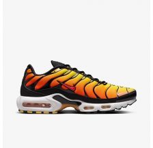 Кросівки чоловічі Nike Air Max Plus 2024 HF0552-001