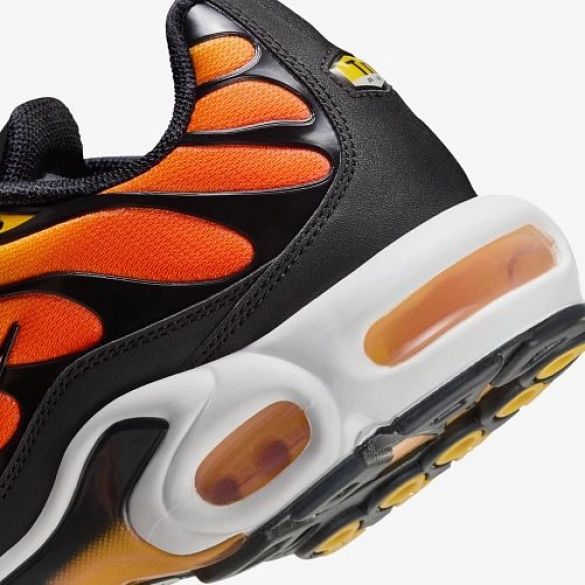 Кросівки чоловічі Nike Air Max Plus 2024 HF0552-001_image_5