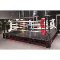 Ринг для бокса V`Noks EXO 60138