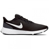 Жіночі кросівки Nike Wmns Revolution 5 BQ3207-002_image_1