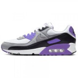 Чоловічі кросівки Nike Air Max 90 CD0881-104_image_2