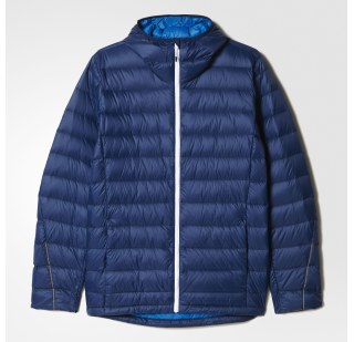 Чоловічий пуховик Adidas Down Hoodded Jacket AP8376