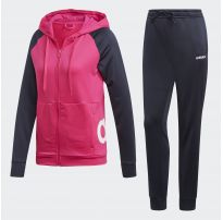 Спортивный костюм Adidas WTS Lin FT Hood DV2426_image_5