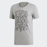 Футболка Adidas E Lin Scatter  DV3047_image_1