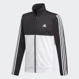 Спортивный костюм Adidas Back2Bas BK4091_image_5