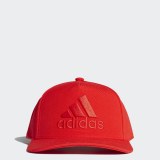 Кепка Adidas H90 Logo DT8578_image_1