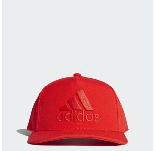 Кепка Adidas H90 Logo DT8578