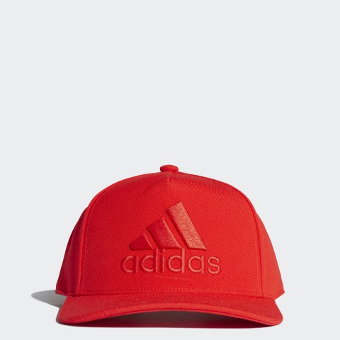 Кепка Adidas H90 Logo DT8578_image_1