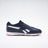 Мужские кроссовки Reebok Royal Glide Ripple EF7705_image_2