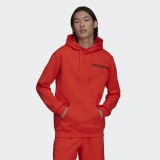 Худі Adidas Originals Graphics Symbol H13519_image_1