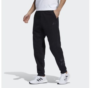  Брюки adidas Sportswear GT6354 