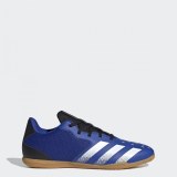 Мужские бутсы Adidas Predator Freak.4 Sala FY0629_image_1