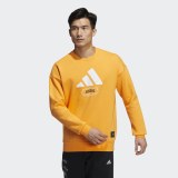 Джемпер adidas Showtime Graphic Sportswear HE7468_image_1