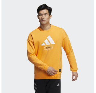 Джемпер adidas Showtime Graphic Sportswear HE7468