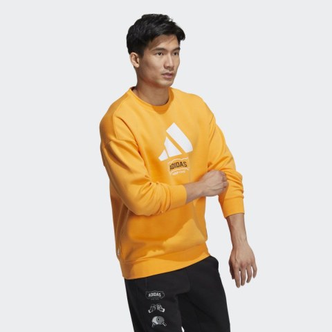 Джемпер adidas Showtime Graphic Sportswear HE7468_image_4