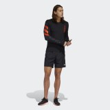 Чоловічі шорти Adidas Run It 3 Stripes PB FP7541_image_5