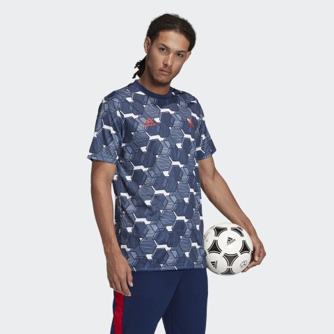 Мужская футболка Adidas Tan Graphic FP7893_image_1