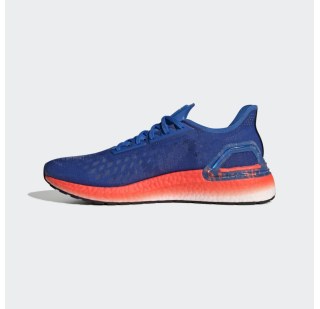 Чоловічі кросівки Adidas Ultraboost PB EF0893