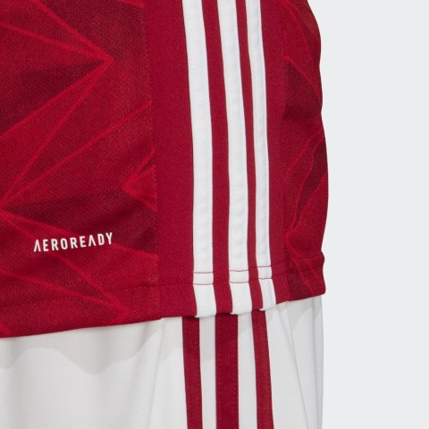 Мужская футболка Adidas Arsenal EH5817_image_7