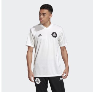 Мужская футболка Adidas TAN Training FJ6310