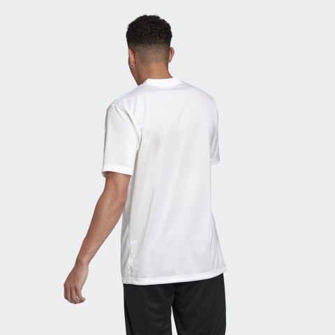 Мужская футболка Adidas TAN Training FJ6310_image_2