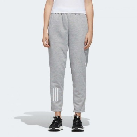 Жіночі брюки Adidas Must Haves FM5198_image_1