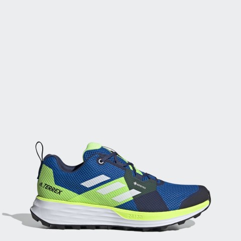 Чоловічі кросівки Adidas Terrex Two Gore-Tex EH1834_image_1
